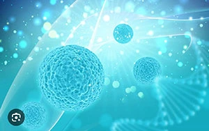 Stem Cell Technology Products